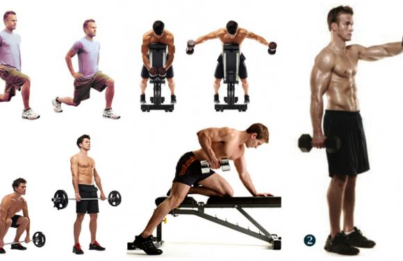 Free Weight Exercises