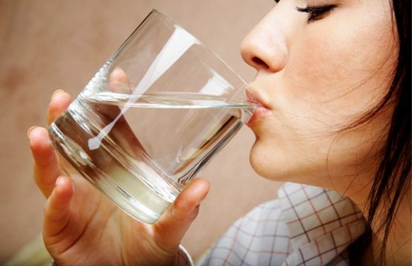 The significance of Water in what you eat