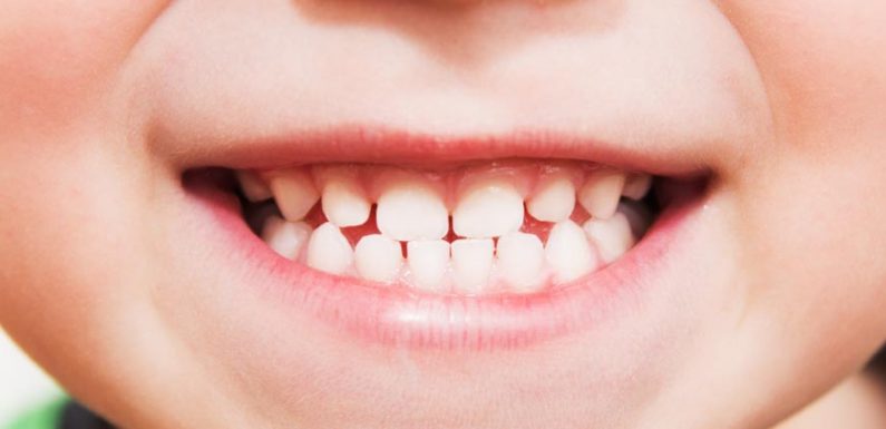 A Handy Guide to Dental Health and Hygiene for Young Kids