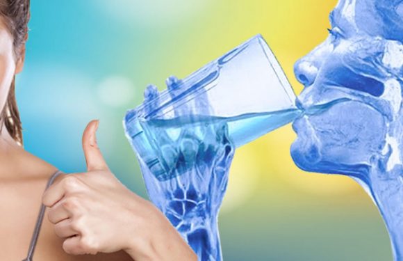 Why Invest in A Water Ionizer?