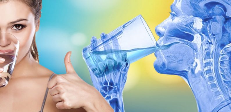 Why Invest in A Water Ionizer?